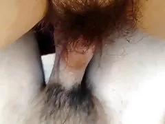 Космат петел