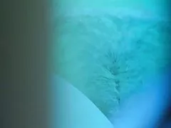 Космат блондинка, дъбилни в фитнес